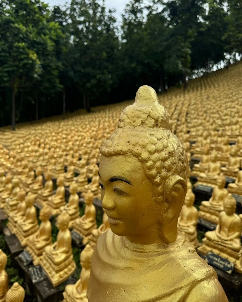 ảnh phật 11