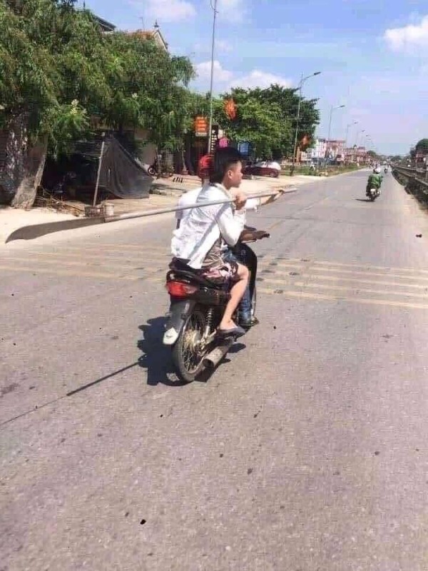 ảnh phóng lợn 10