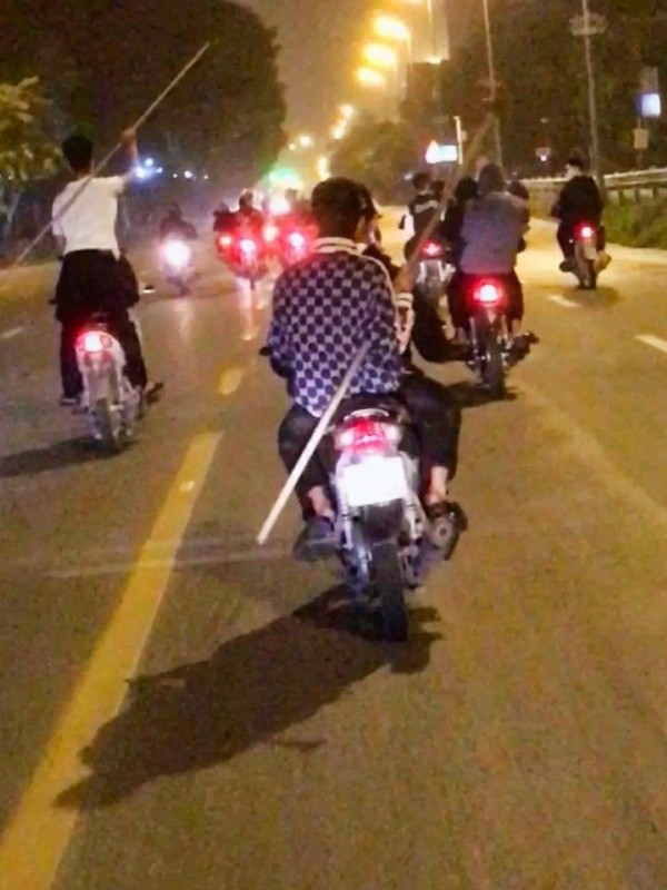 ảnh phóng lợn 11