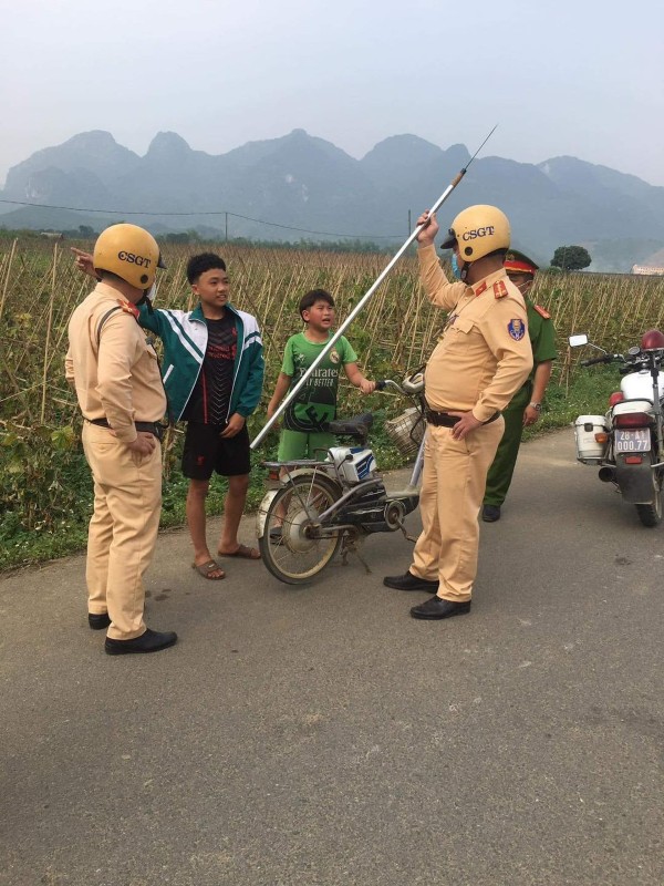 ảnh phóng lợn 18