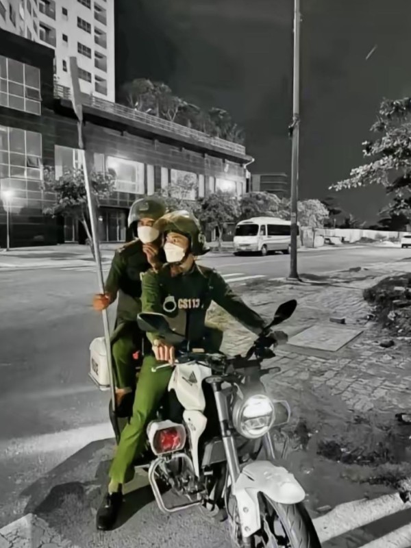 ảnh phóng lợn 2