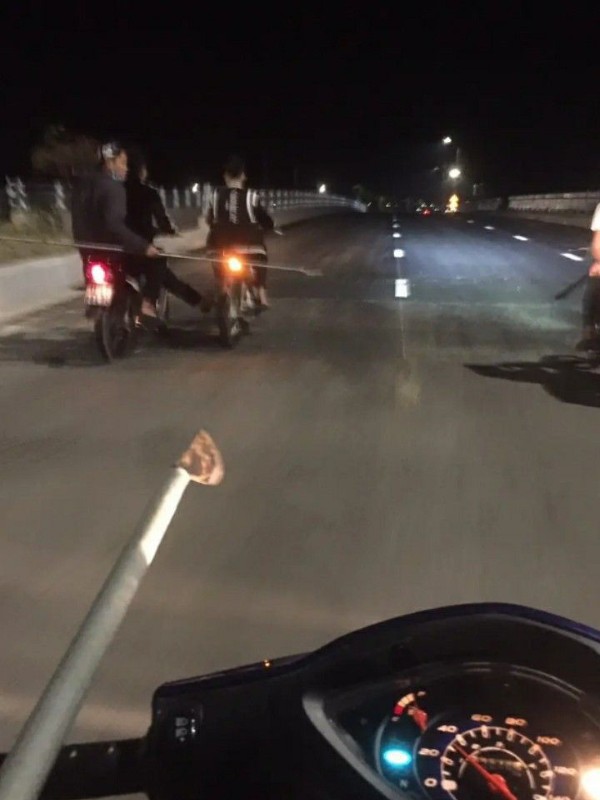 ảnh phóng lợn 24