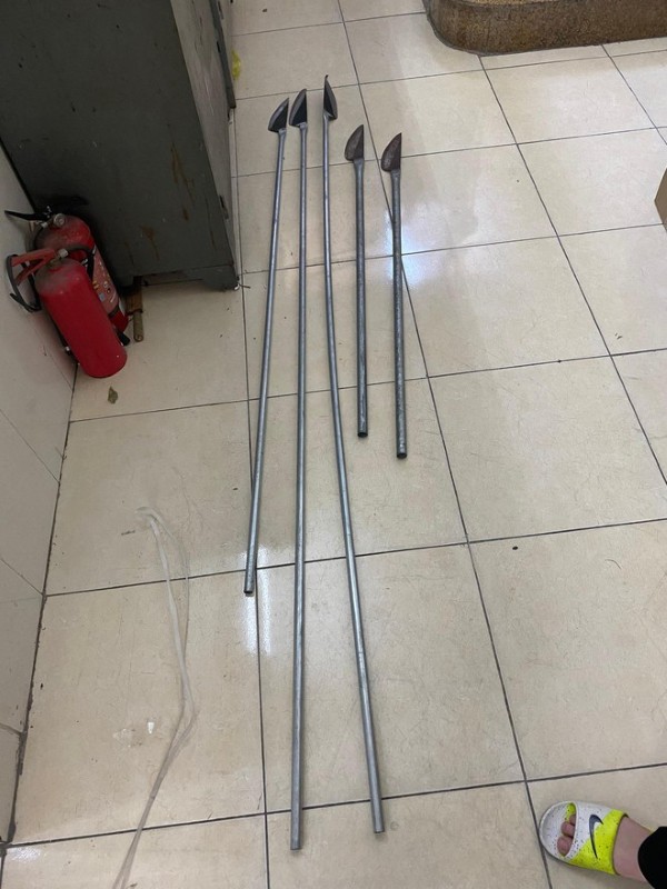 ảnh phóng lợn 27