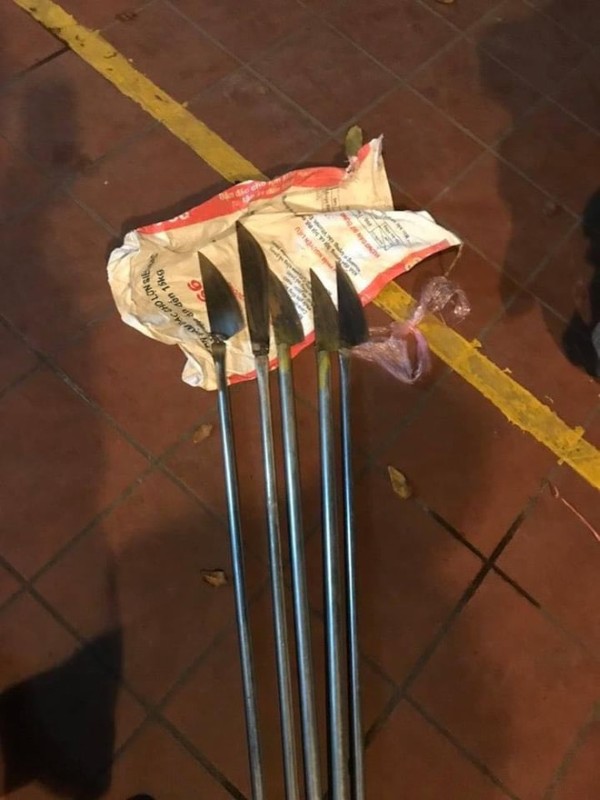 ảnh phóng lợn 3