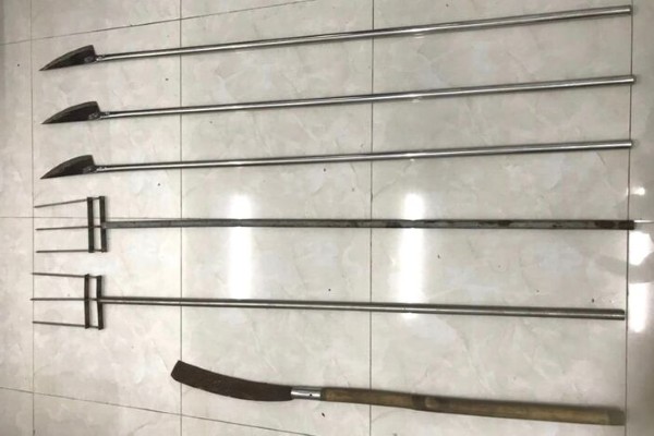 ảnh phóng lợn 30
