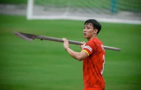 ảnh phóng lợn 31