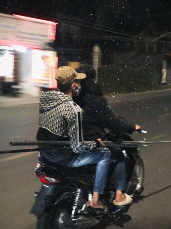 ảnh phóng lợn 33