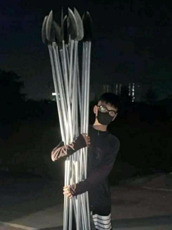 ảnh phóng lợn 34