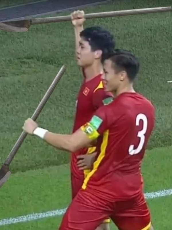 ảnh phóng lợn 37