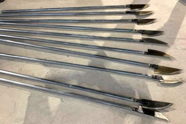 ảnh phóng lợn 8