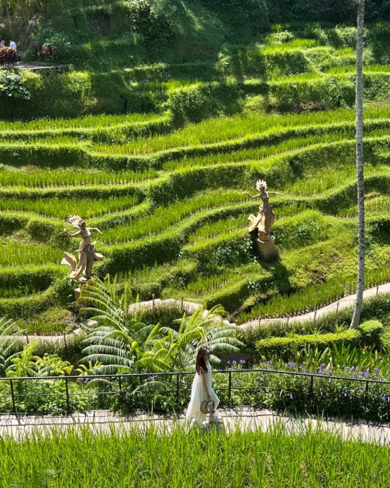 Chiêm ngưỡng 77+ ảnh ruộng bậc thang hùng vĩ nhất