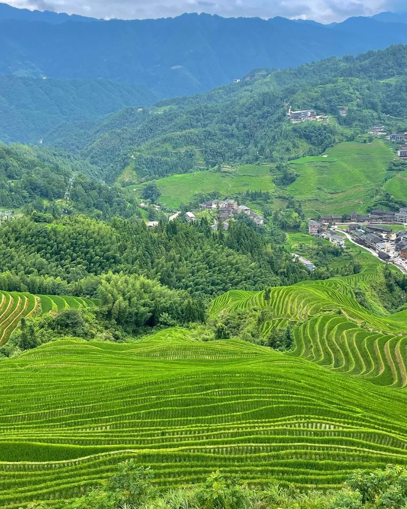 ảnh ruộng bậc thang 18