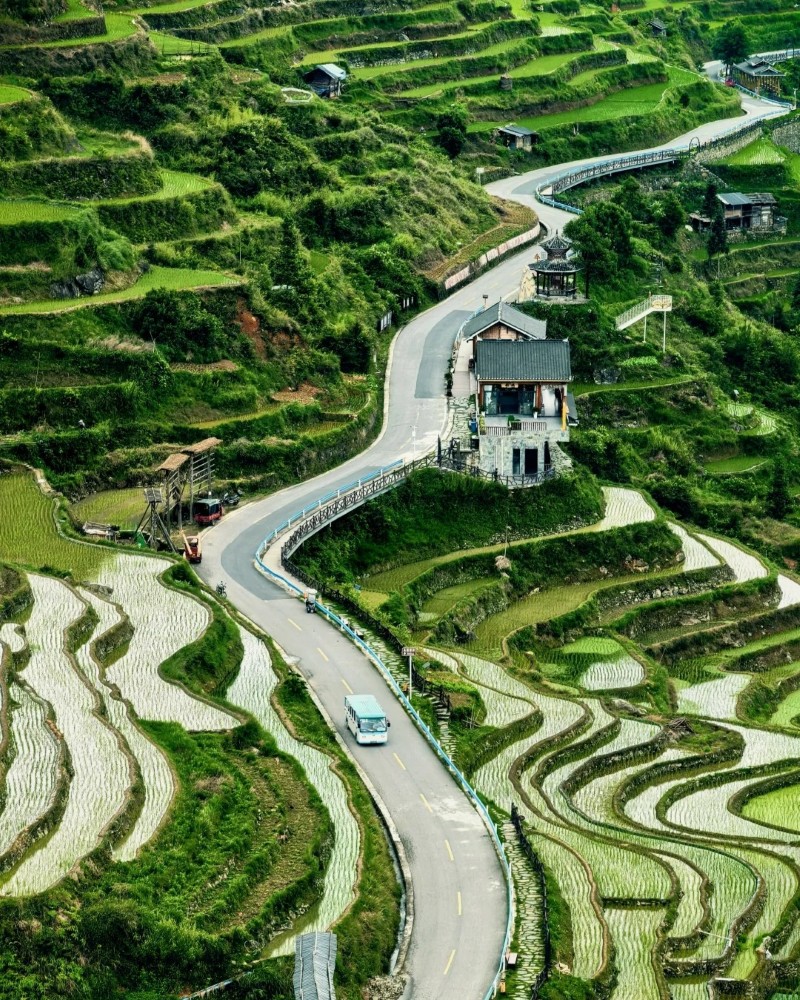ảnh ruộng bậc thang 29