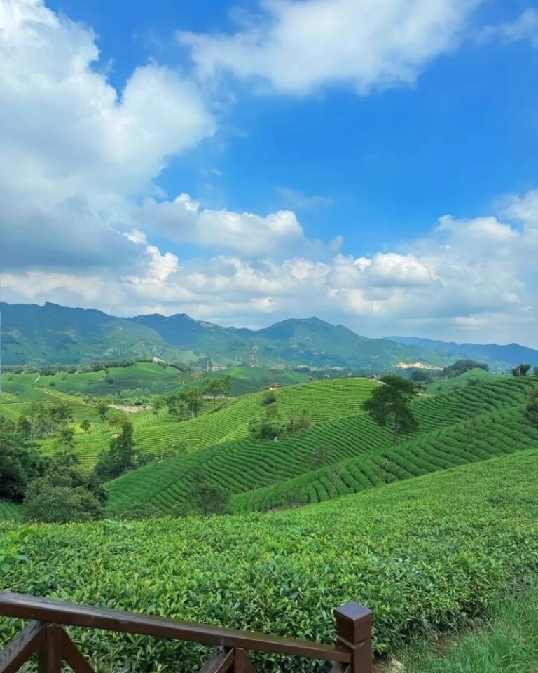 Tổng hợp 87+ ảnh thiên nhiên đẹp nhất cho tâm hồn an yên