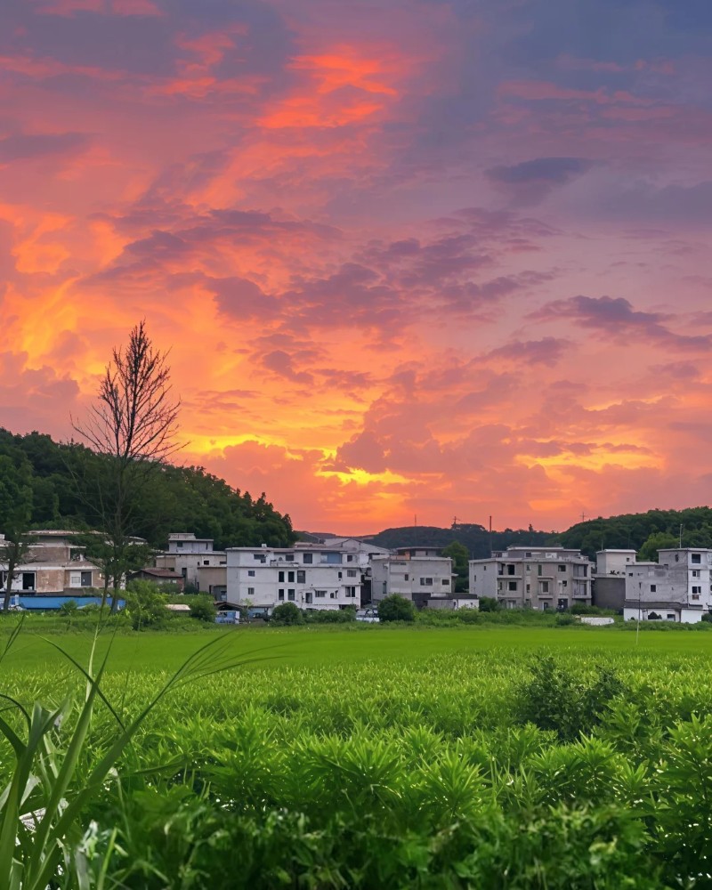 ảnh thiên nhiên đẹp chill 24