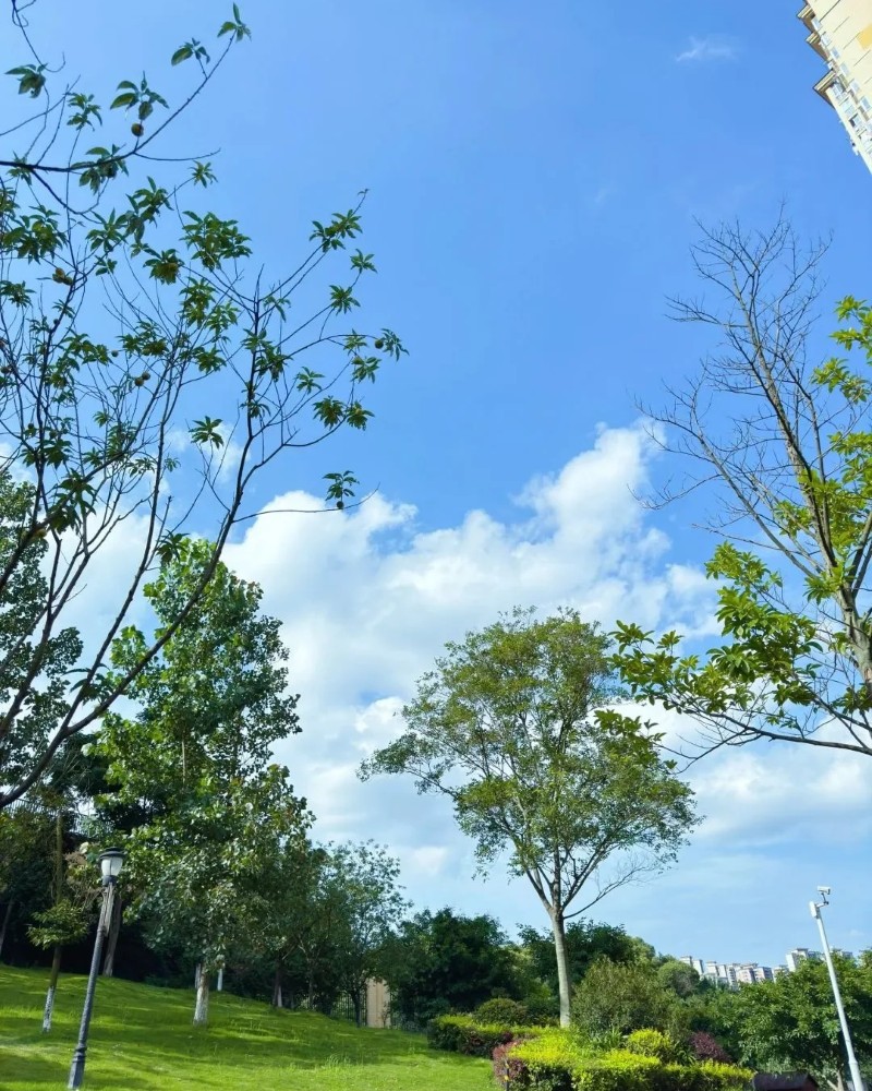 ảnh thiên nhiên đẹp chill 25