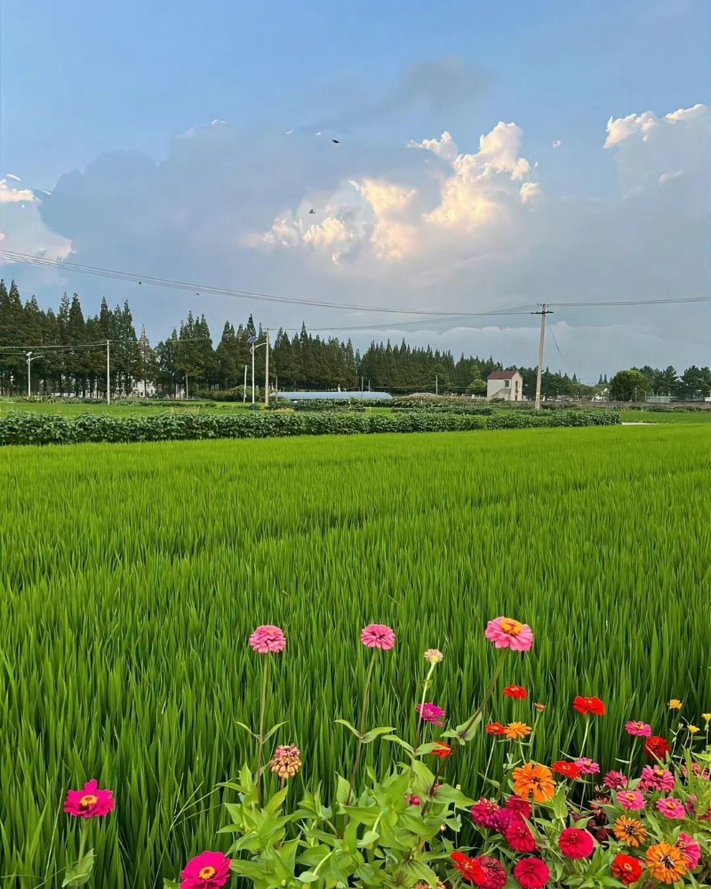 ảnh thiên nhiên đẹp chill 32