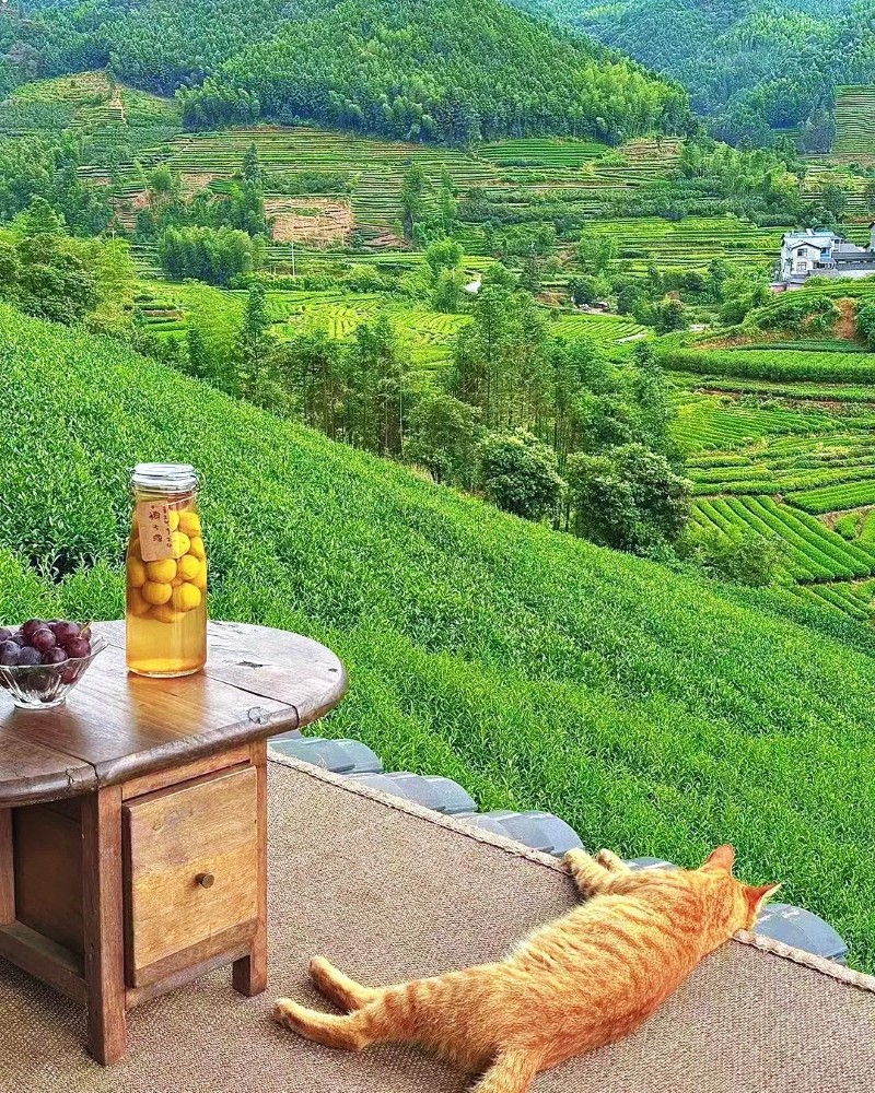 ảnh thiên nhiên đẹp chill 5