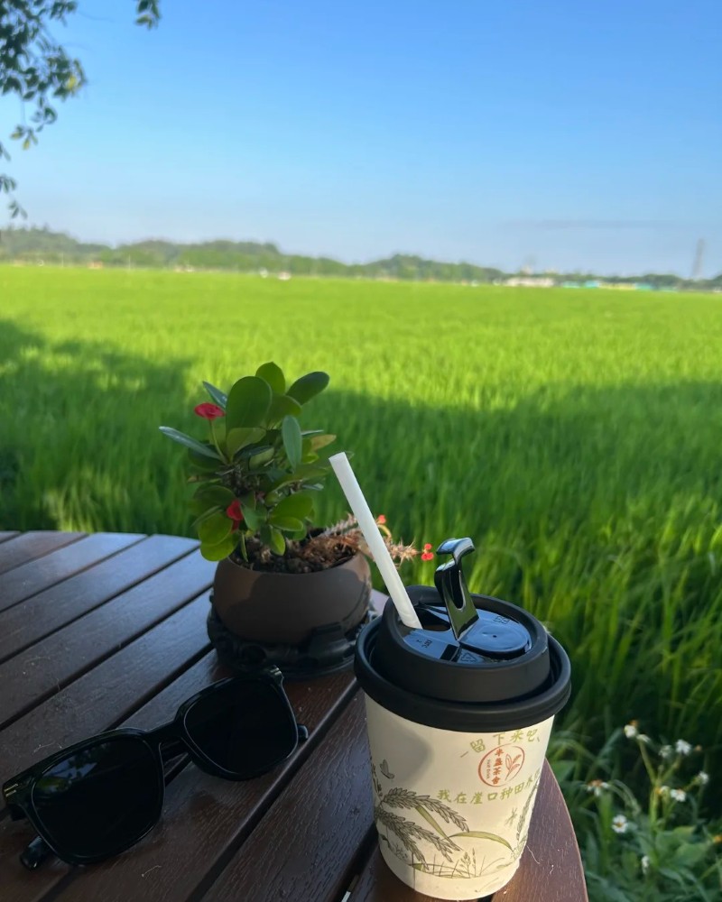 ảnh thiên nhiên đẹp chill 7