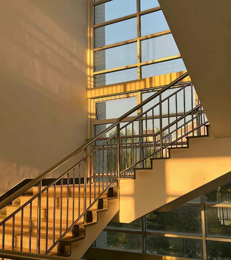 ảnh trường học 11