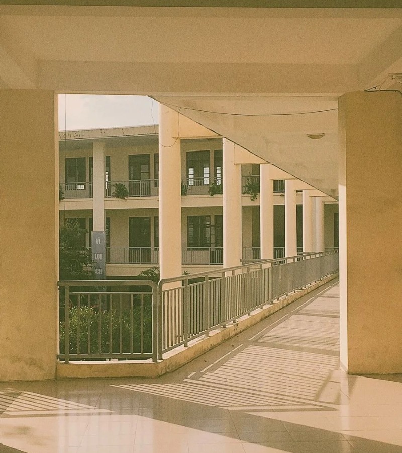 ảnh trường học 12