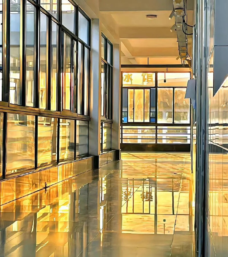 ảnh trường học 13