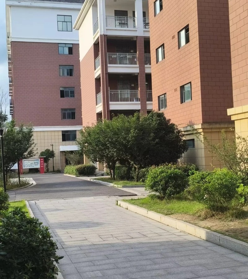 ảnh trường học 14