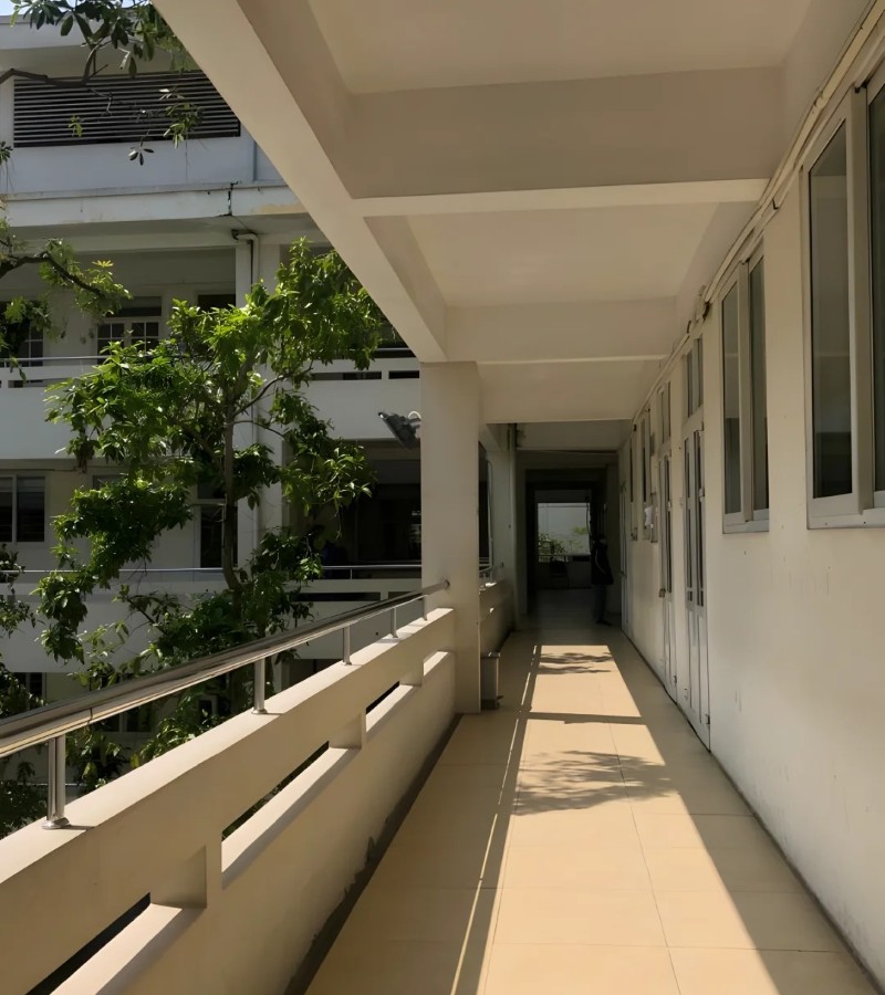 ảnh trường học 15