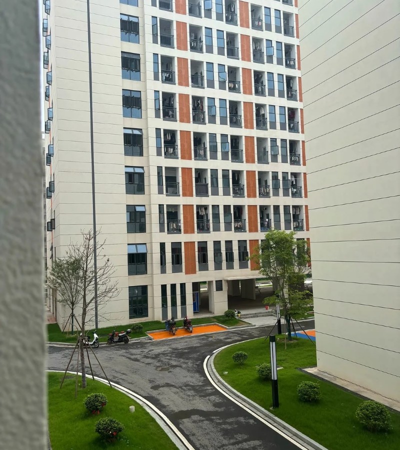 ảnh trường học 17