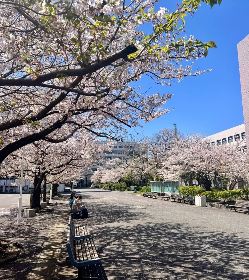 ảnh trường học 20