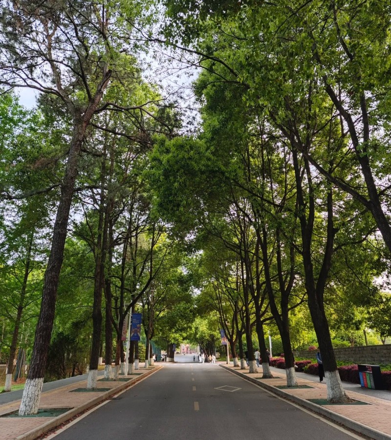 ảnh trường học 31