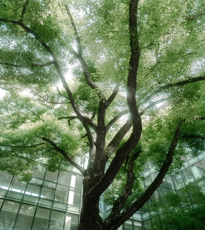 ảnh trường học 32