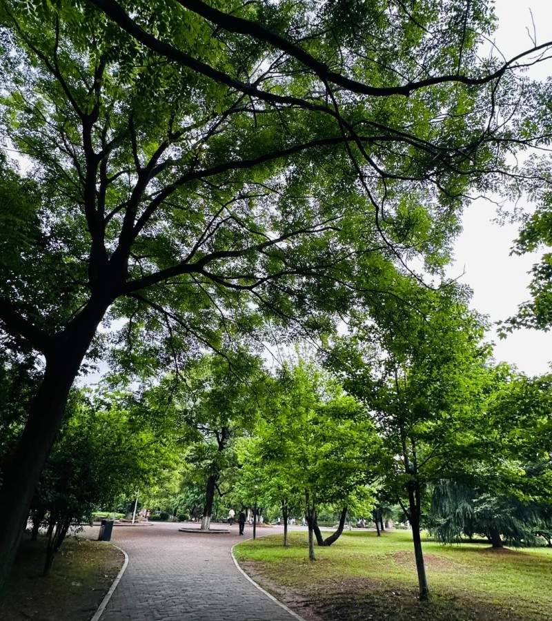 ảnh trường học 33