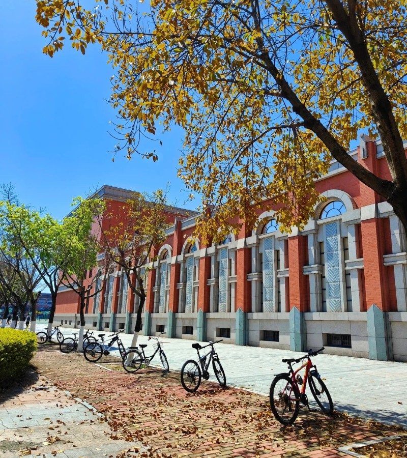 ảnh trường học 5