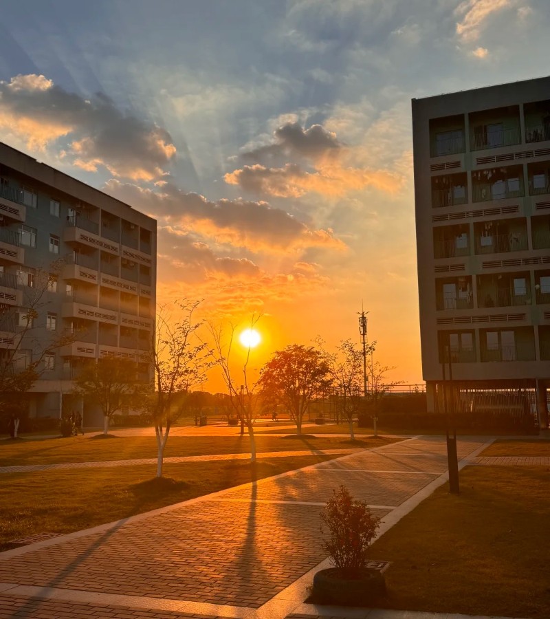 ảnh trường học 7