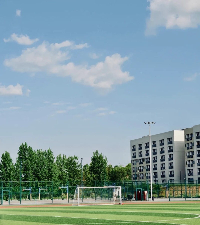 ảnh trường học xanh