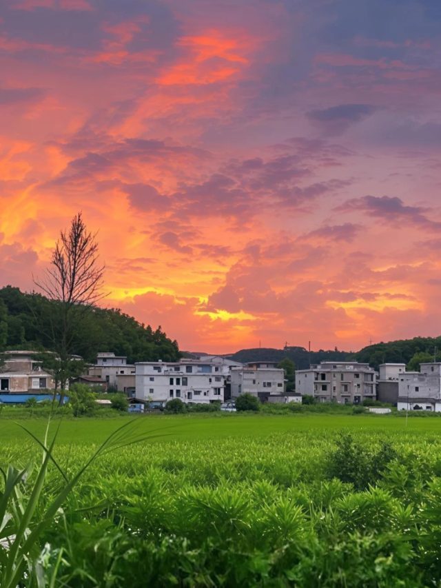 ảnh thiên nhiên đẹp chill 24