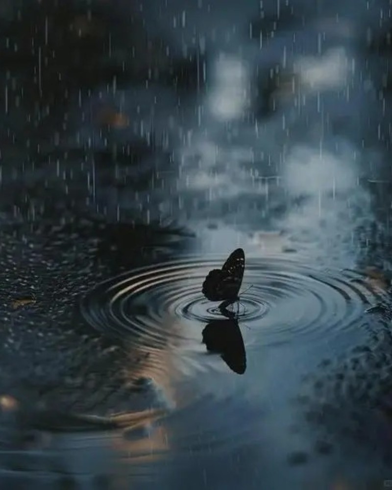 hình ảnh buồn, đau lòng 13