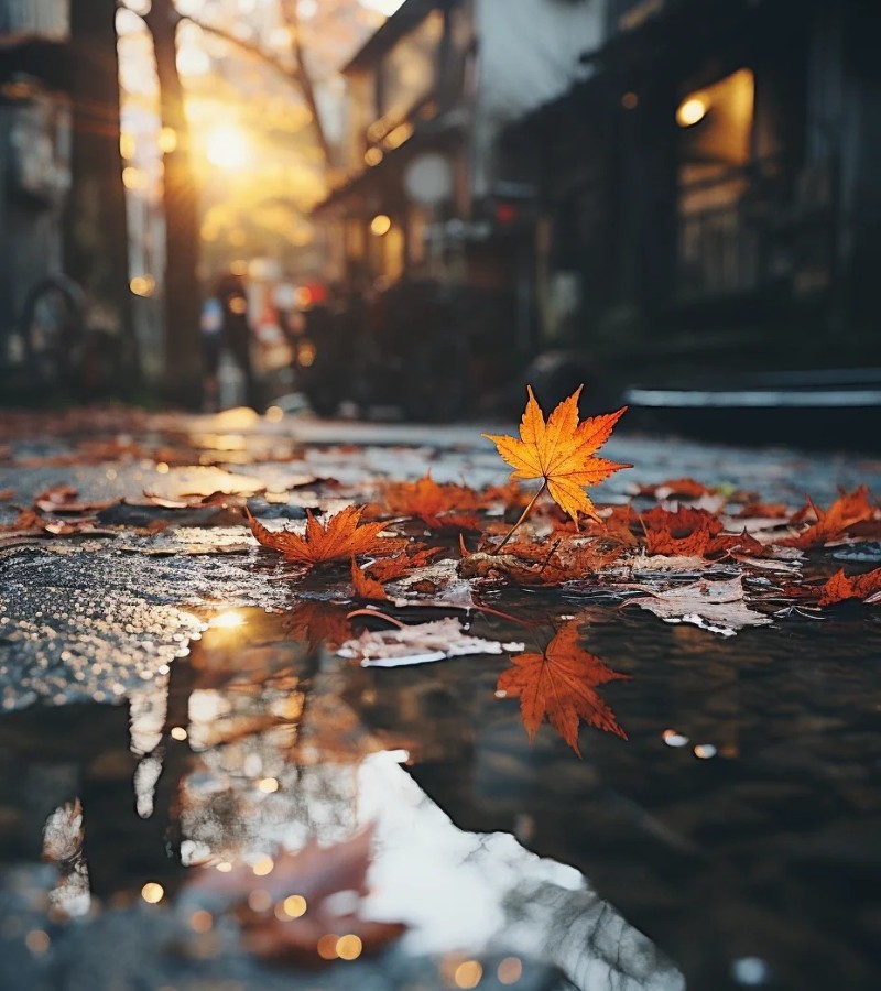 hình ảnh buồn đẹp lãng mạn