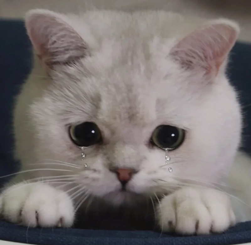 hình ảnh buồn khóc cô đơn 33