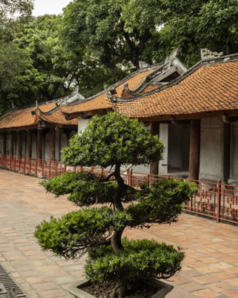 Ngắm nhìn 978+ hình ảnh của Văn Miếu Quốc Tử Giám đầy nét văn hóa
