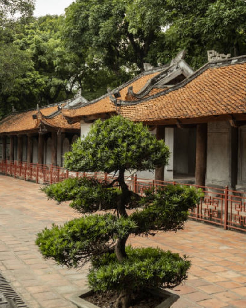 hình ảnh của văn miếu quốc tử giám 31