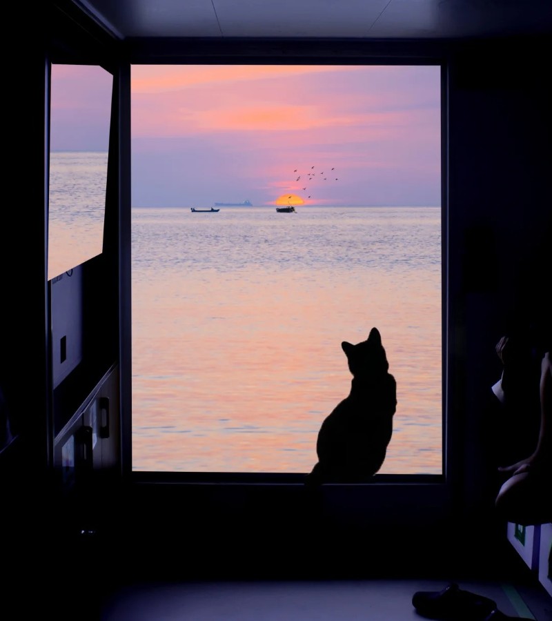 hình ảnh đẹp buồn