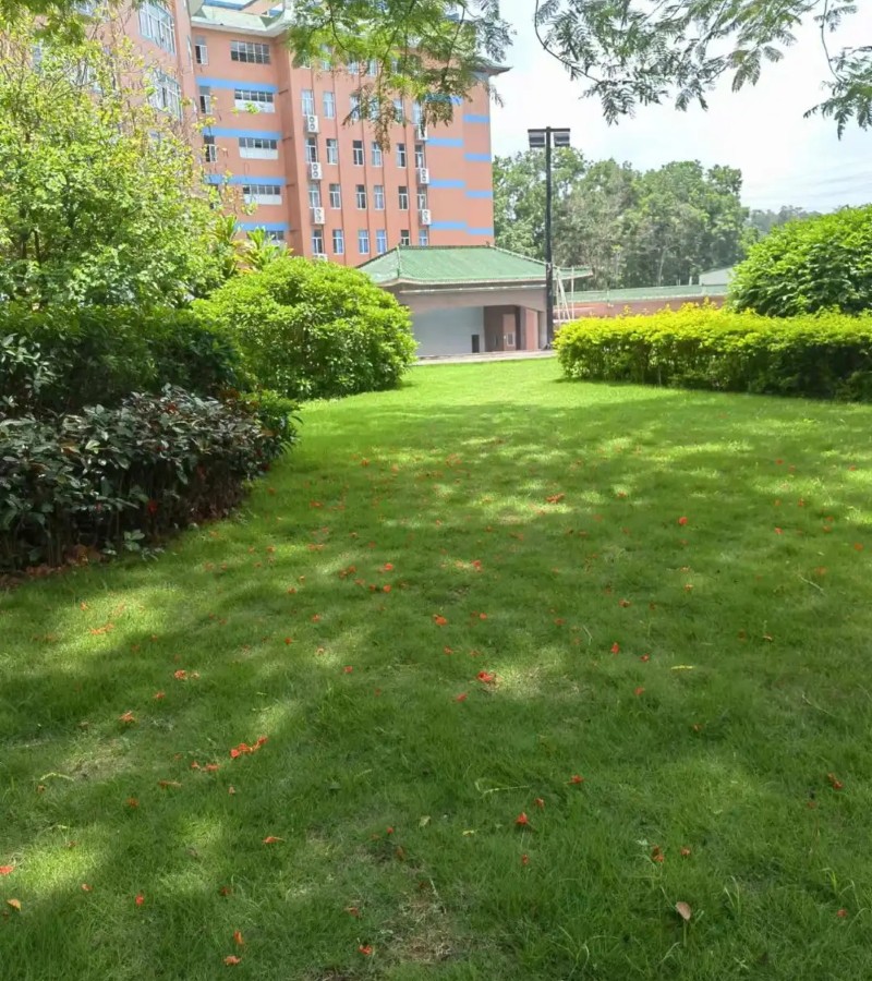 hình ảnh dự án trường học xanh