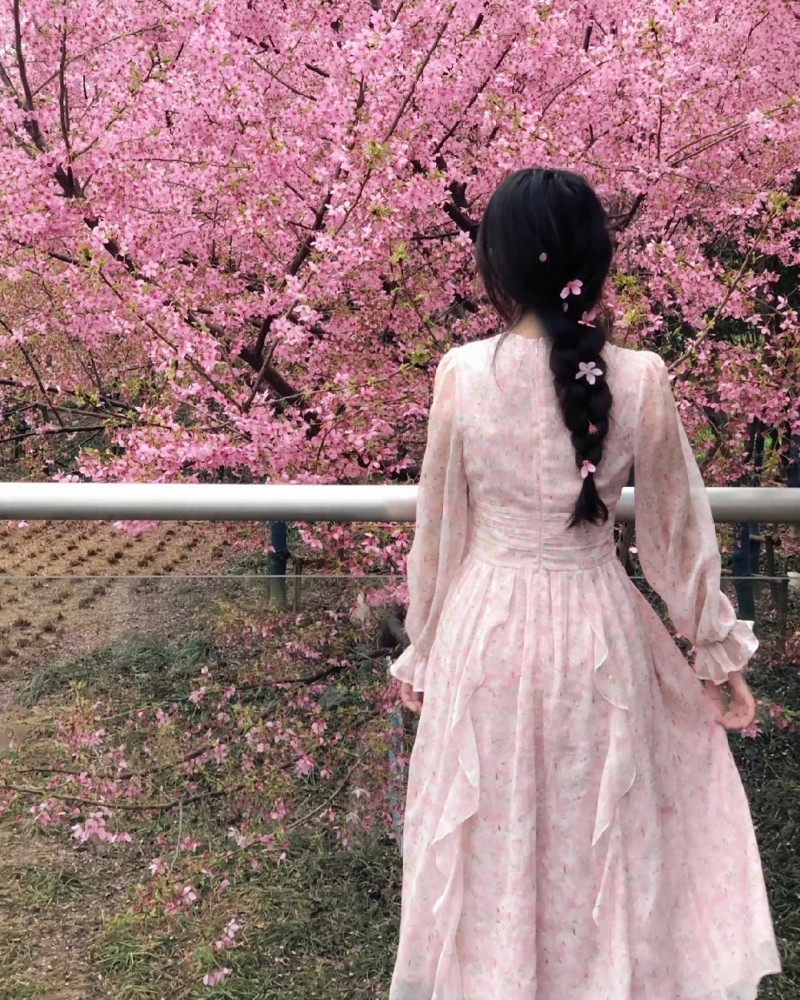 hình ảnh hoa đào mùa xuân