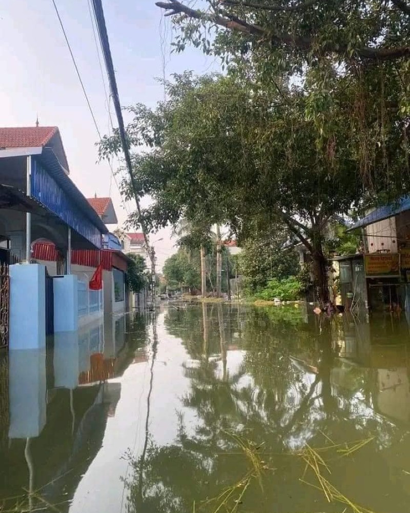 hình ảnh lũ lụt 15