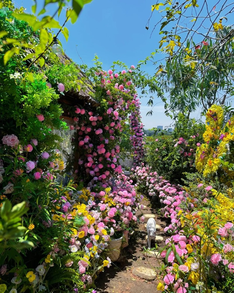 hình ảnh mùa xuân 38