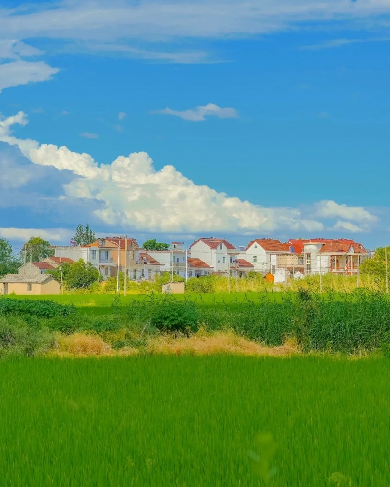hình ảnh mùa xuân 5
