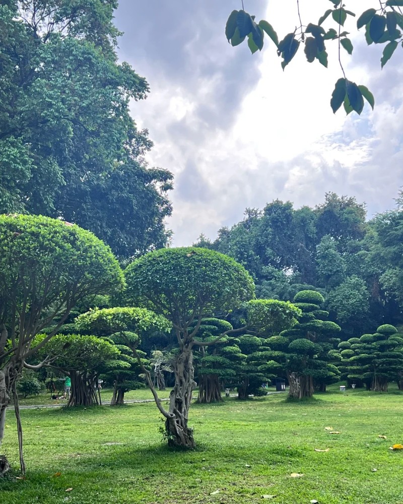 hình ảnh phong cảnh đẹp chill