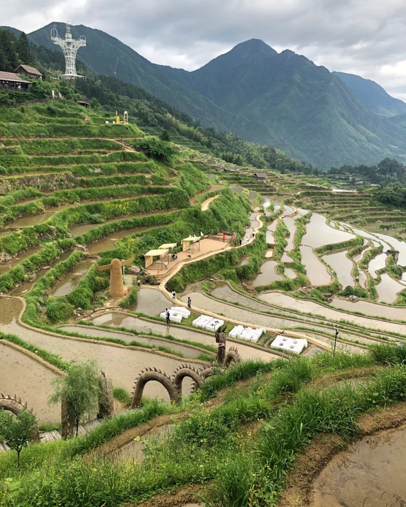 hình ảnh ruộng bậc thang đẹp nhất